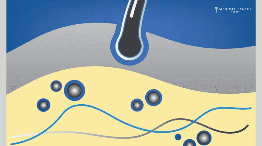 How Minoxidil Works?