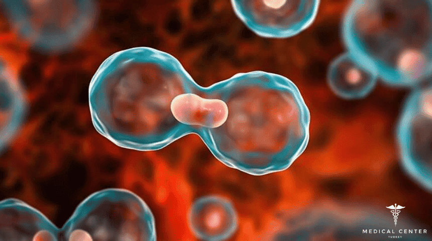 How Successful is Leukemia Treatment