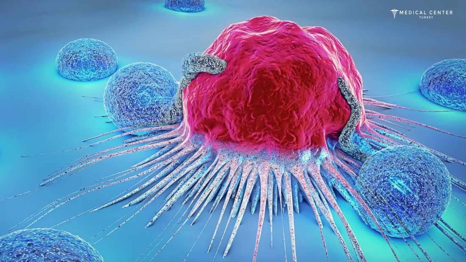 Is There a Cure for Cancer?