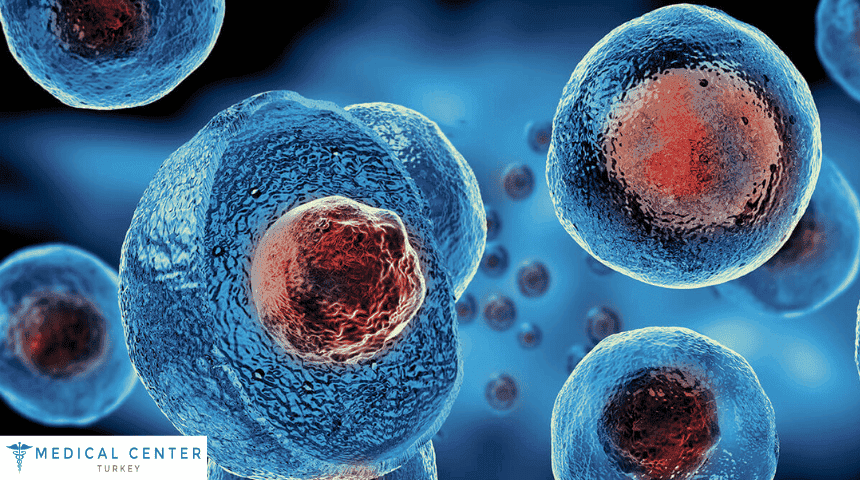 Stem Cell Therapy Turkey
