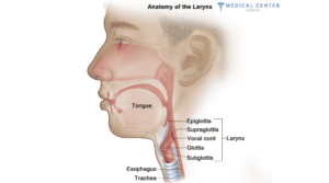 Chemotherapy for Larynx Cancer