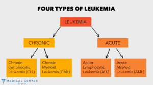 How Successful is Leukemia Treatment