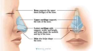 Nose Job Healing Time