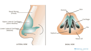 Rhinoplasty Surgery 