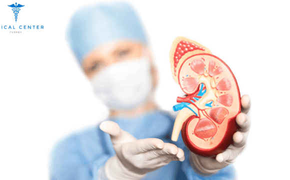 How Much Is a Kidney Transplant Surgery