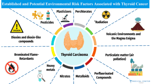 Thyroid Cancer