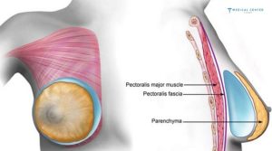 The Most Preferred Aesthetics by Tourists in Turkey