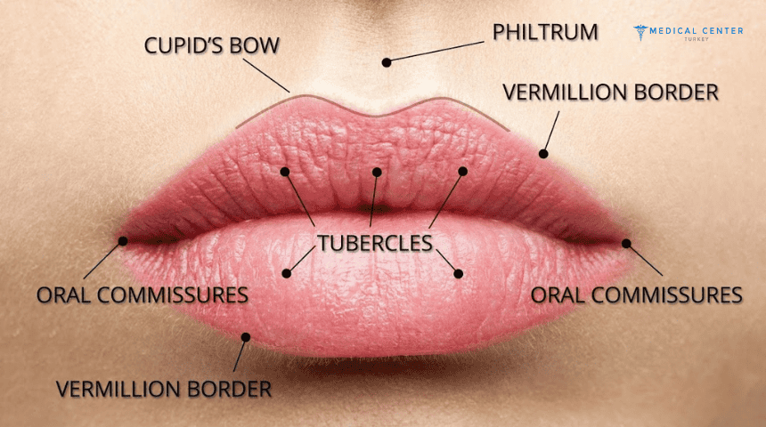 How Will Your Lip Fillers Look More Natural in 2026?